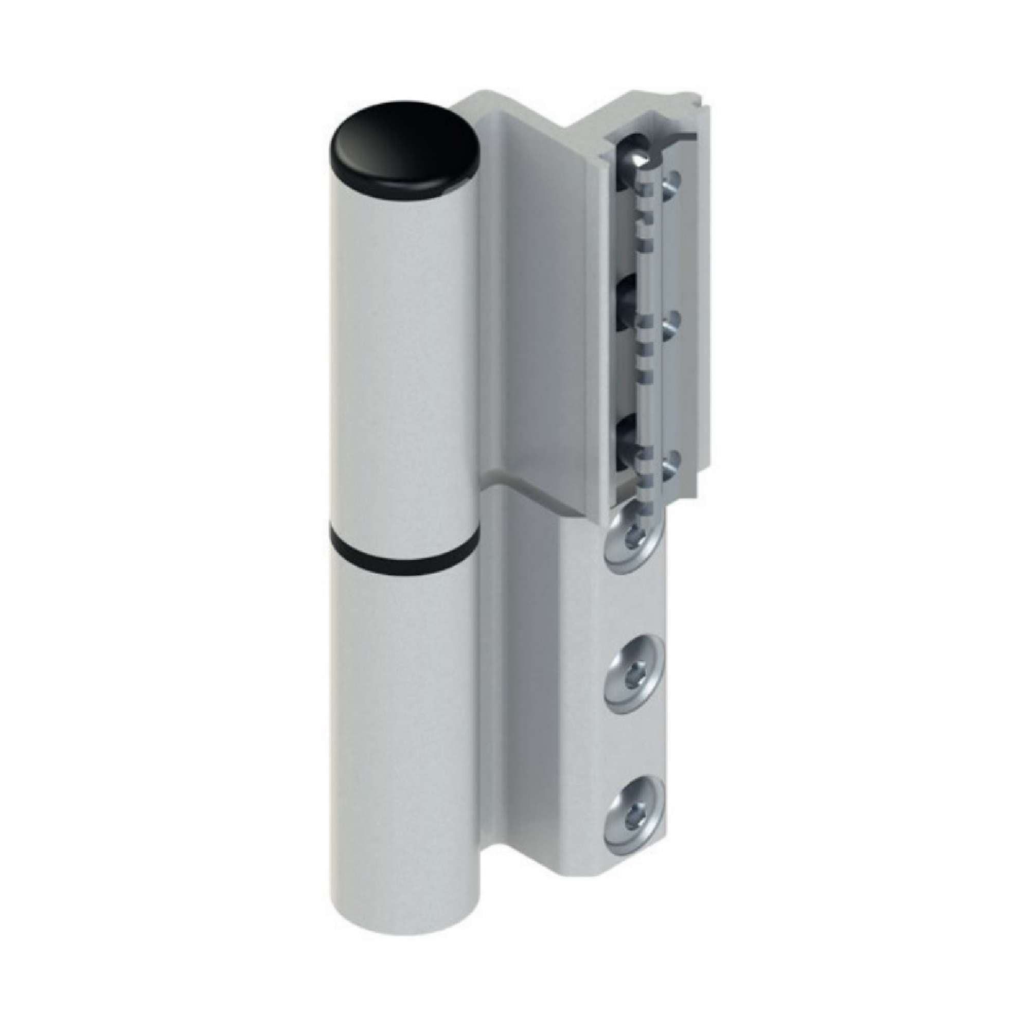 Cerniera a contrasto Celera per porte nodo C007 - GIESSE 00682