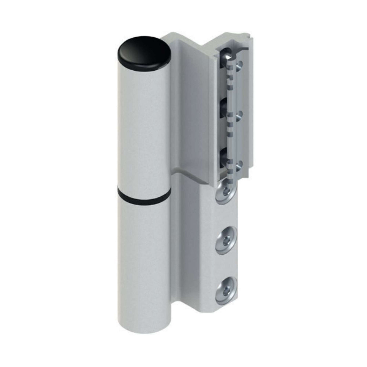 Cerniera a contrasto Celera per porte nodo C001 - C002 - C005 - GIESSE 00681