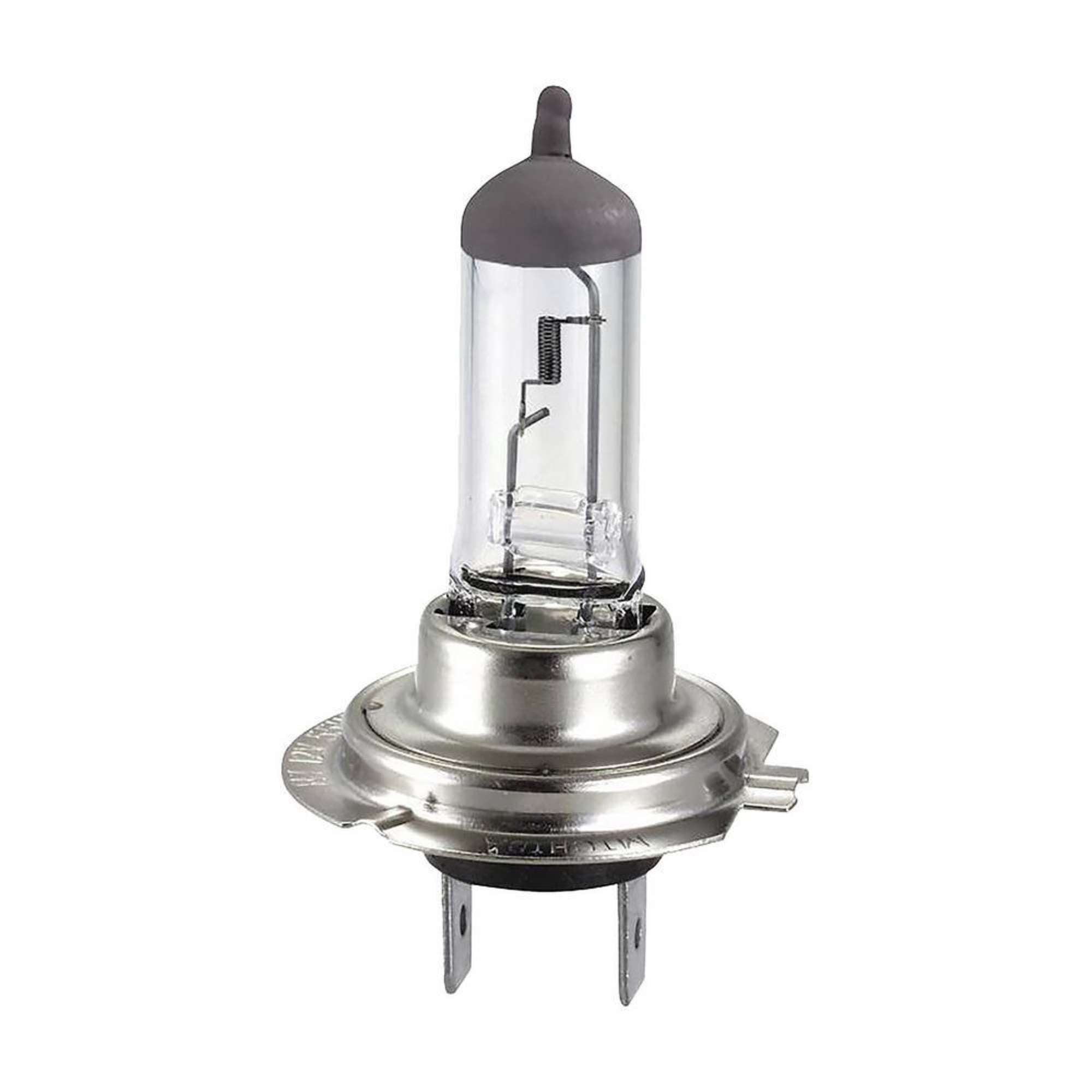 Lampadina alogena 12V - Start