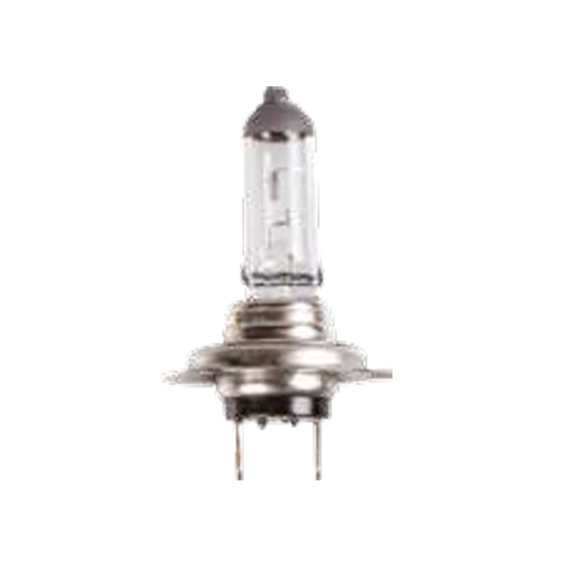 Lampadina Long Life 12V - Start