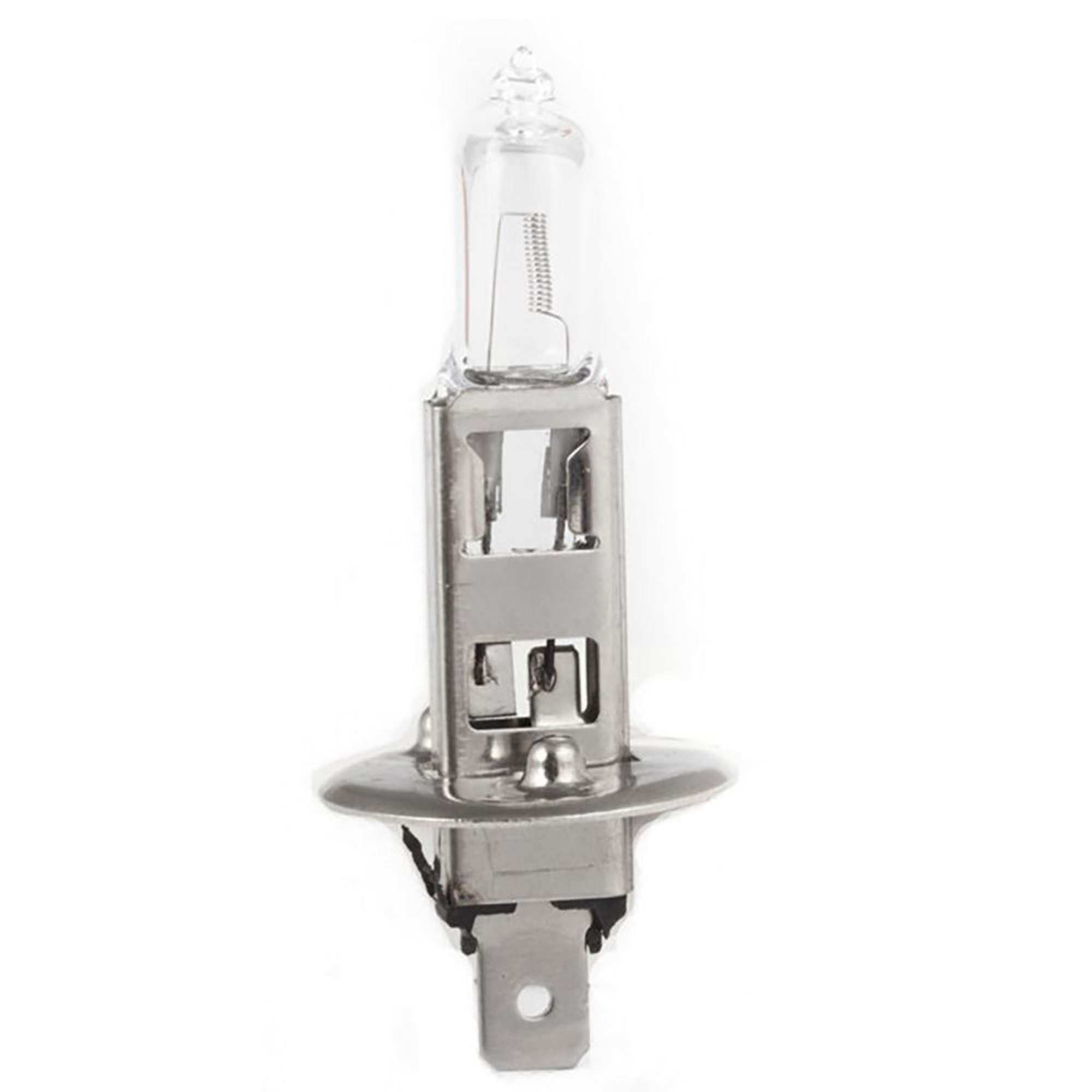 Lampadina Long Life 12V - Start