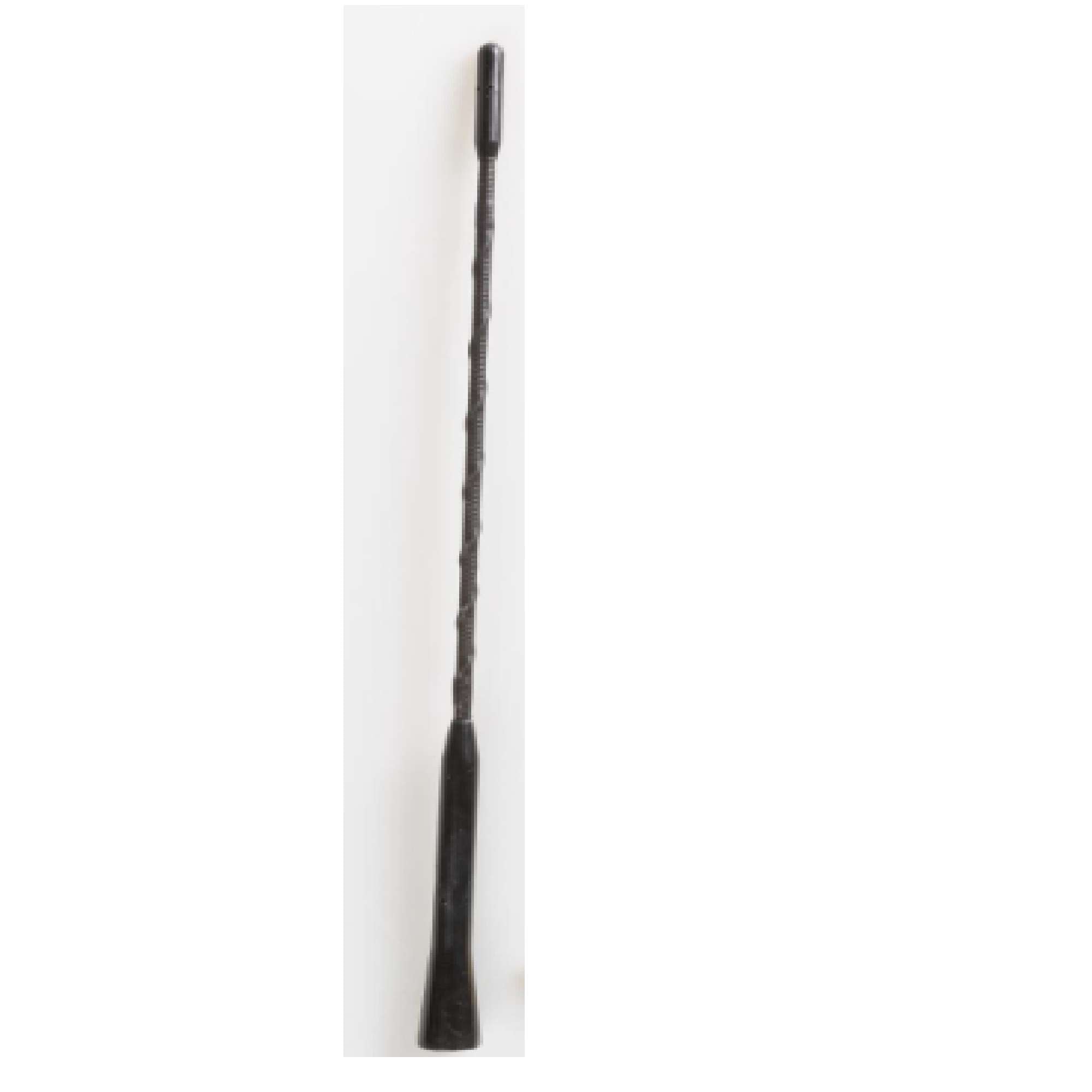 Antenna Auto Lunghezza 30Cm - Start